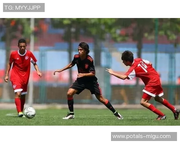 本菲卡与波尔蒂芒对决前瞻分析及比赛结果预测